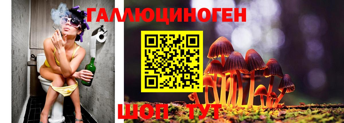Кашира  как найти наркотики  Галлюциногенные грибы Psilocybe  Вход с VPN  Галлюциногенные грибы ЛСД 