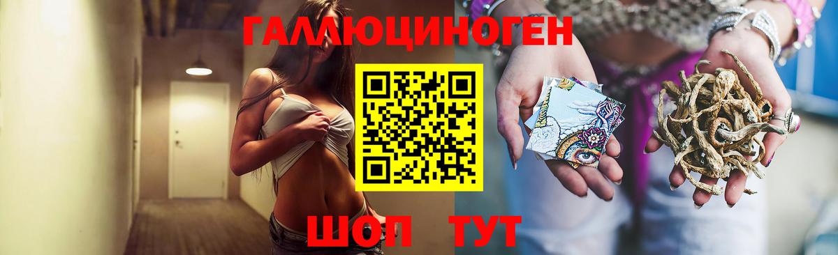 Галлюциногенные грибы прущие грибы Кашира